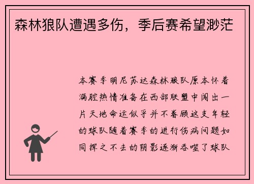 森林狼队遭遇多伤，季后赛希望渺茫